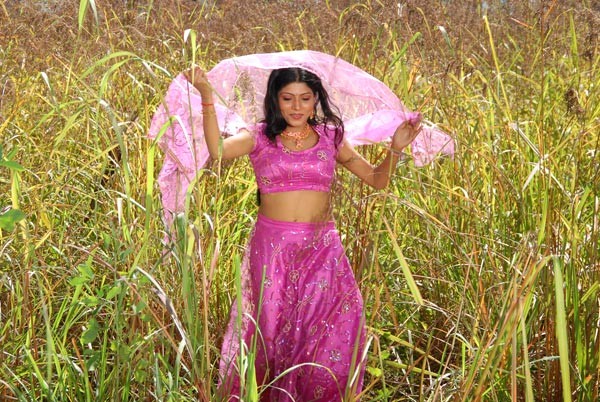 Priyamaina Anjali Movie - Shankar,Puja - 2 / 49 photos
